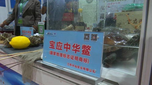 寶應3企業優質農產品亮相江蘇農展會，上海市民競相“打call”