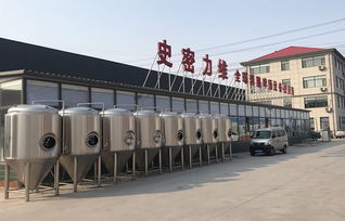 小型精釀啤酒廠設備投資解密 多麥基為您報價分析